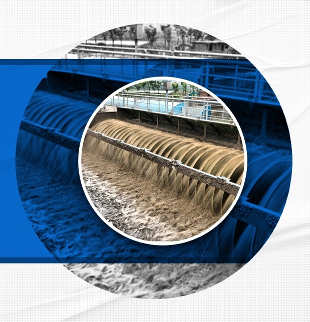 whatsapp image 2025 12 10 at 11.02.11